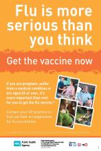 flu poster